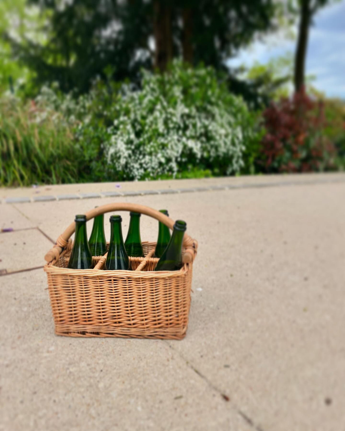 Champagne Agrapart Header Succul'
