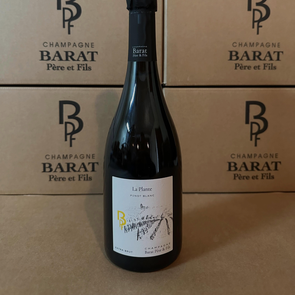 Champagne Barat Père & Fils - La Plante Pinot Blanc