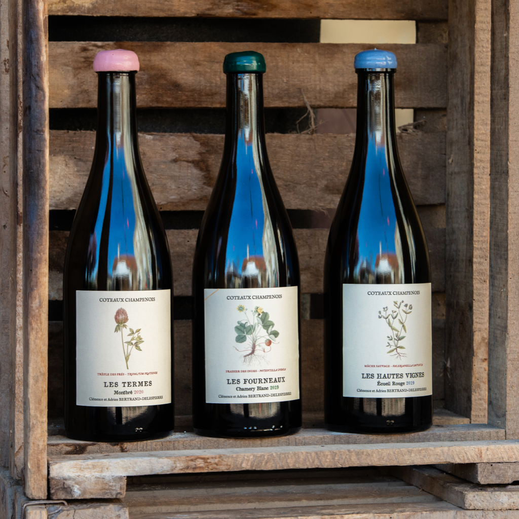 Champagne Bertrand-Delespierre - Coteaux Champenois