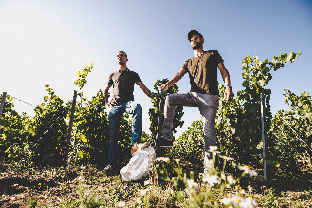 Champagne Pertois-Lebrun Antoine et Clément