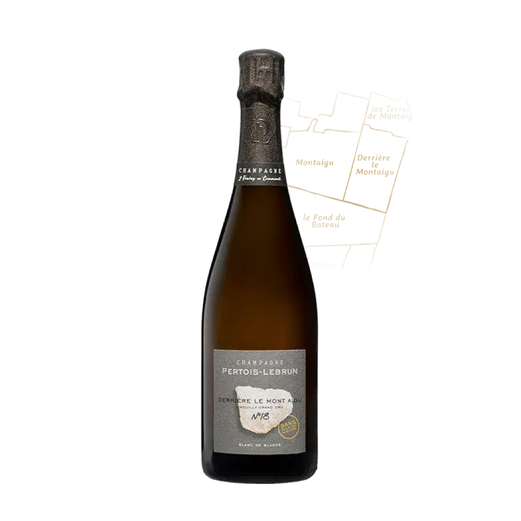 Champagne Pertois-Lebrun - Derrière le Mont Aigu