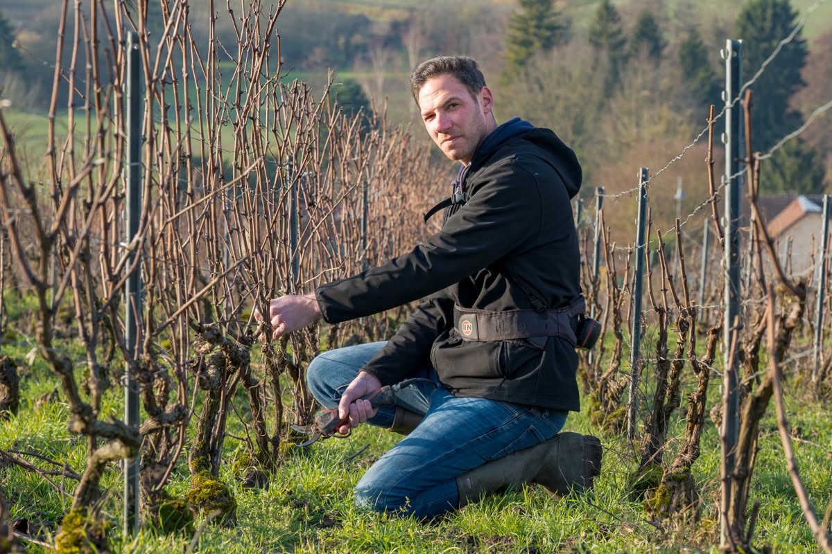 Champagne Simon Rion à Courmas