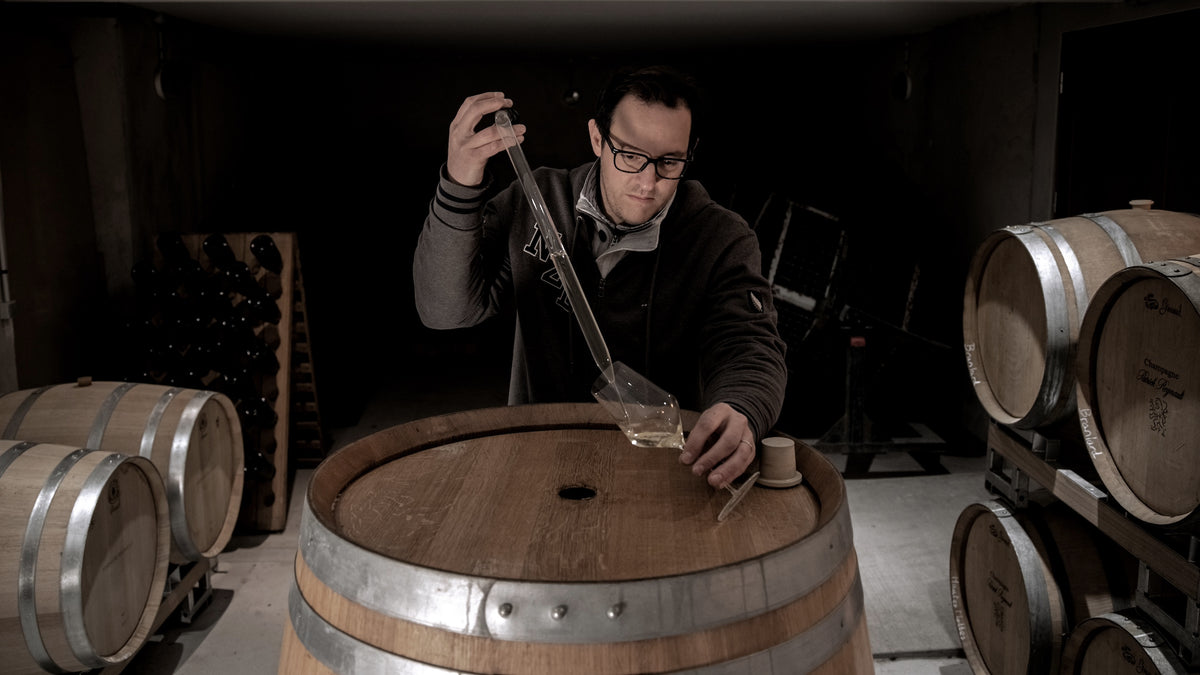Champagne Stephane Regnault