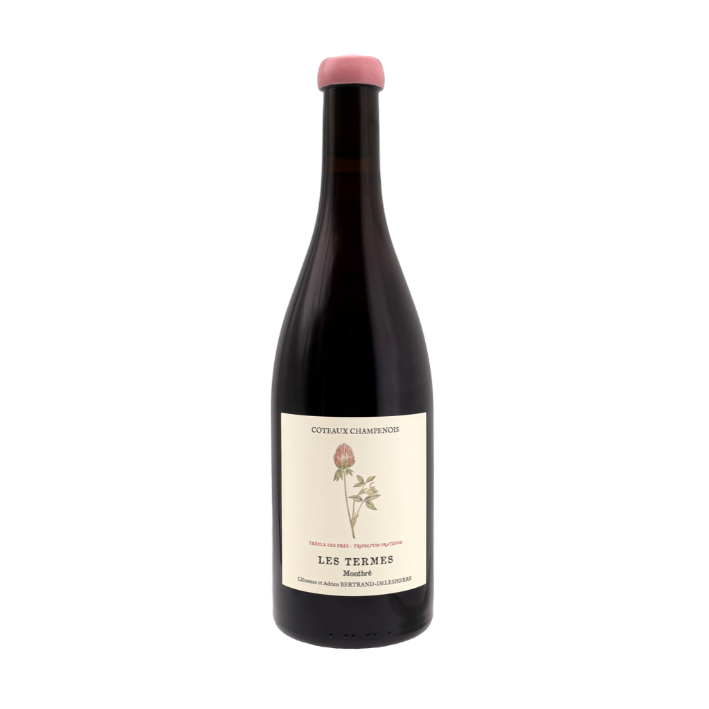 Champagne Bertrand-Delespierre - Les Termes 2020 (Montbré Coteaux Rosé)