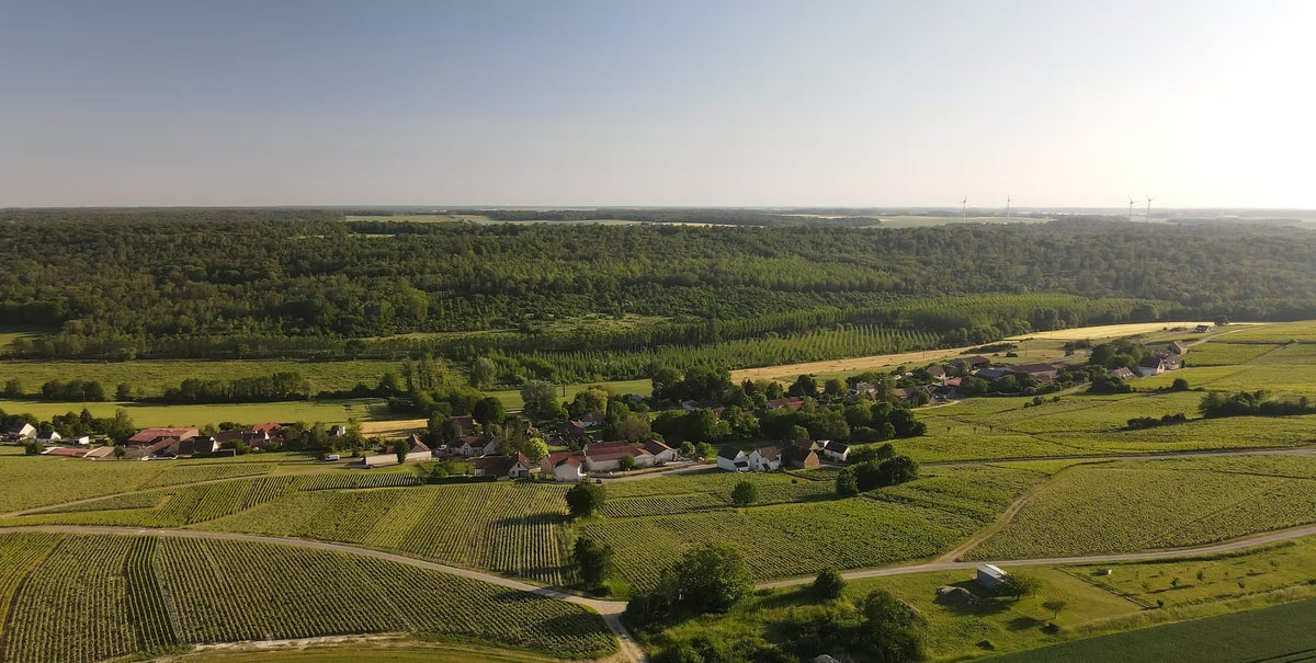 Champagne Jeaunaux-Robin Vallée du Petit Morin
