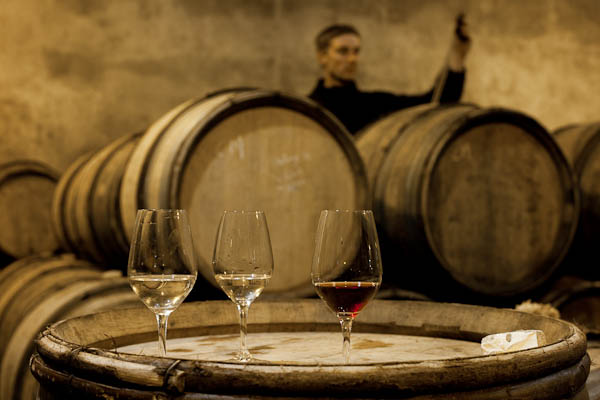 Champagne Laherte Frères Aurélien