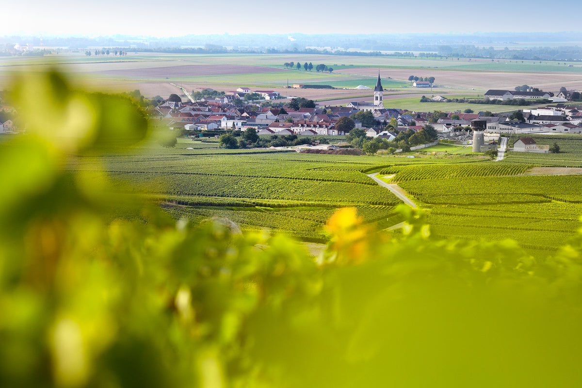 Champagne Pierre Paillard à Bouzy