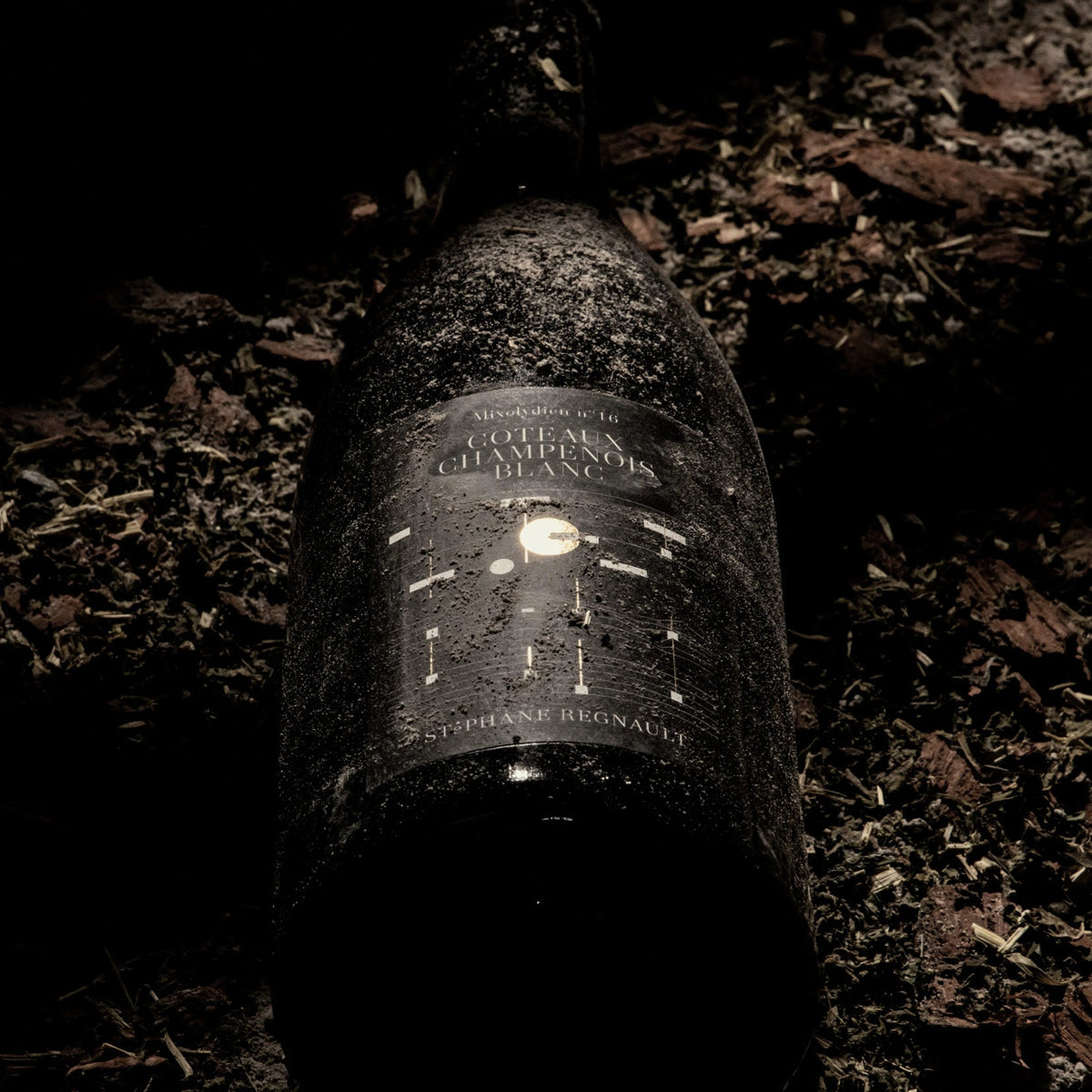 Champagne Stephane Regnault Coteaux Champenois Blanc